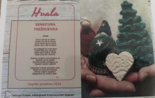 Senecura dom za starije