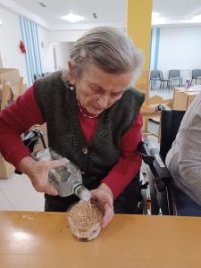Senecura dom za starije