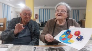 Senecura dom za starije