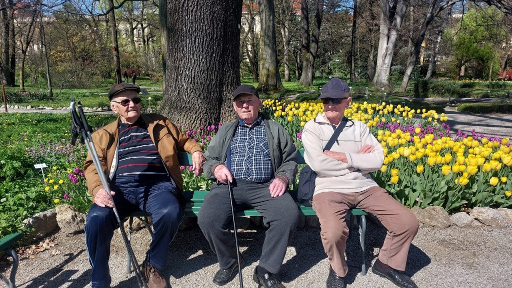 Senecura dom za starije